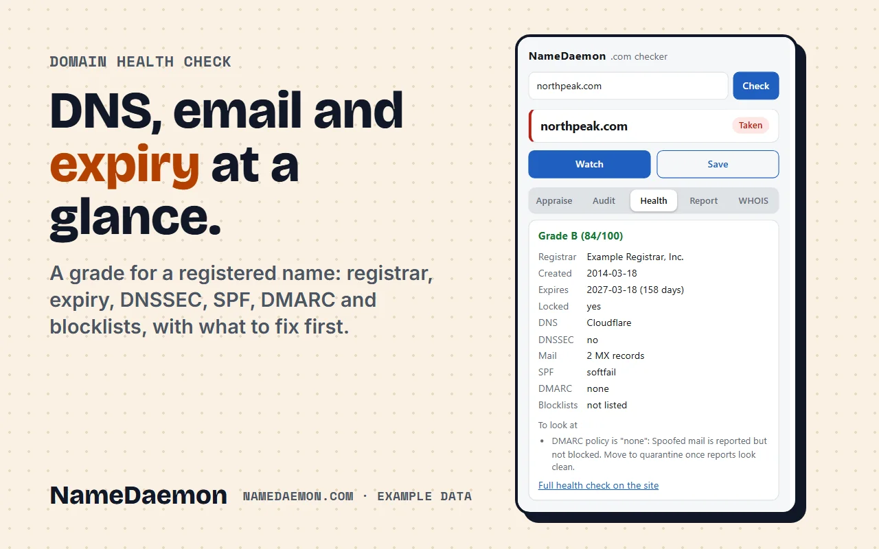 The Health tab showing a grade, expiry, DNS and email checks