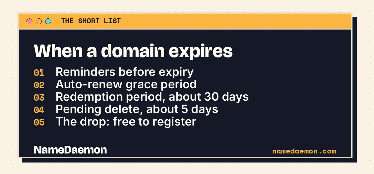 What happens when a domain expires: reminders, grace period, redemption, pending delete and the drop